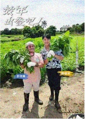 明星大侦探